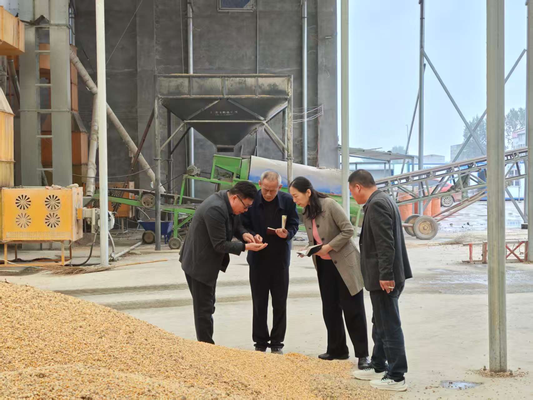 駐馬店市供銷合作社多措并舉護航秋糧收儲