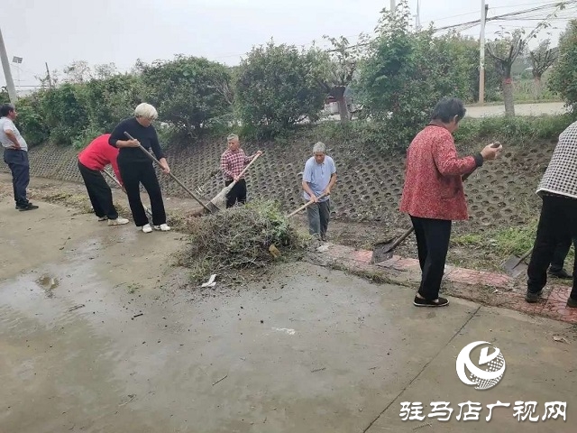  新蔡縣李橋回族鎮清理路肩邊溝 美化人居環境