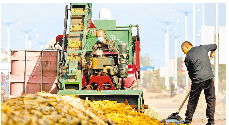 連陰雨里保&ldquo;三秋&rdquo;