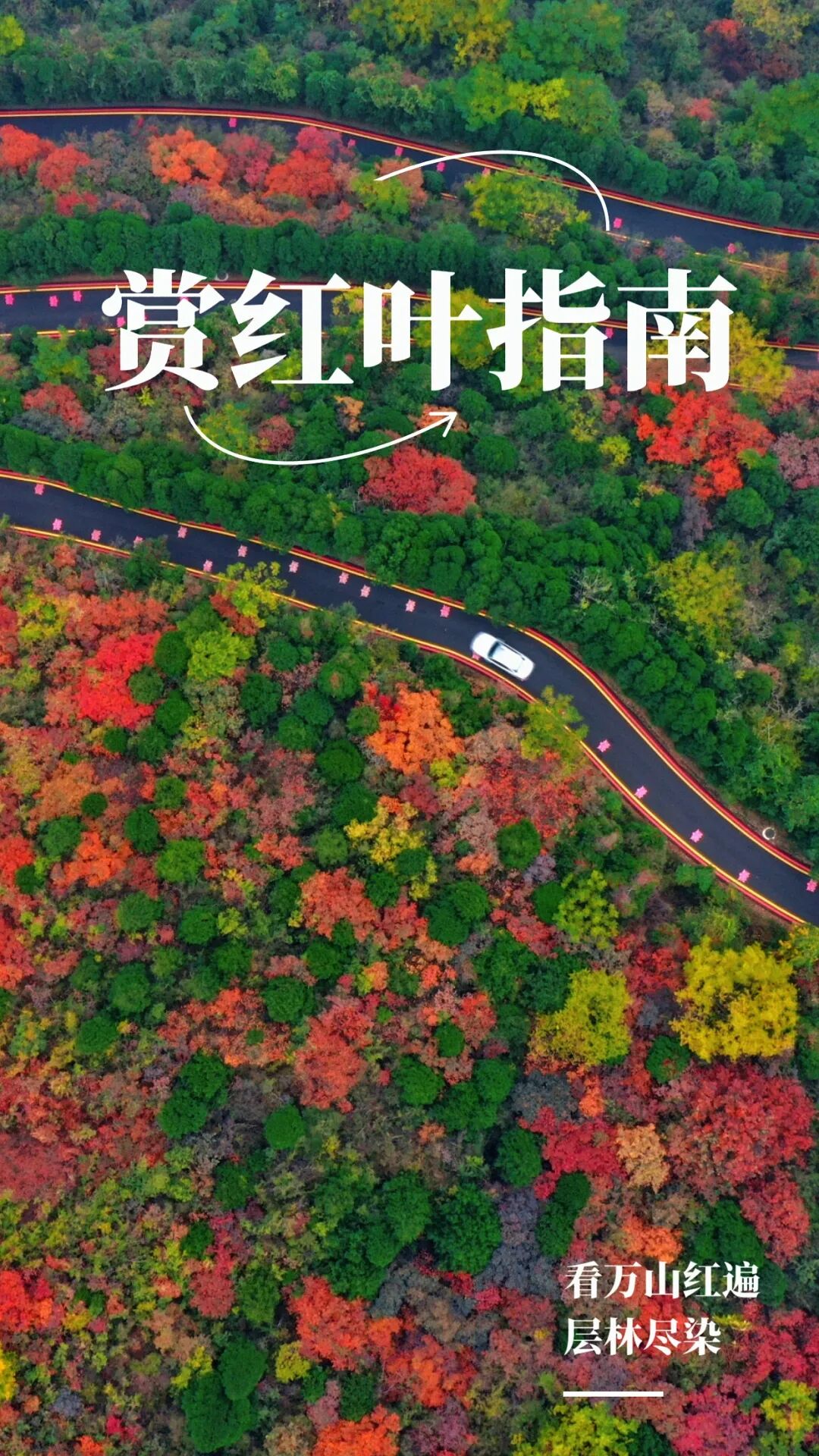 看萬山紅遍！河南賞紅葉指南來啦→