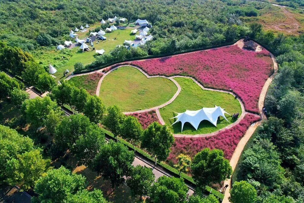 河南，被圈“粉”了！