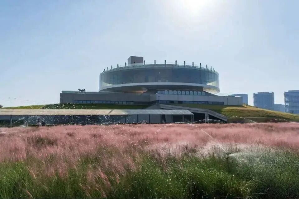 河南，被圈“粉”了！