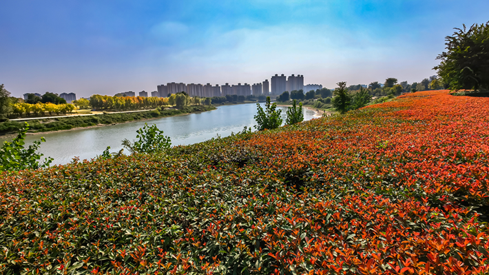 縣區動態 | 秋日晴光好 斑斕入畫來