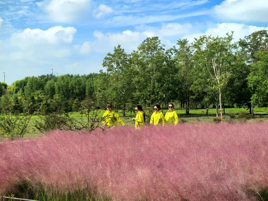 河南，被圈“粉”了！