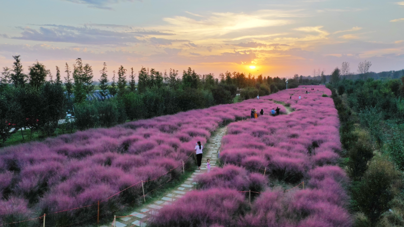 河南，被圈“粉”了！