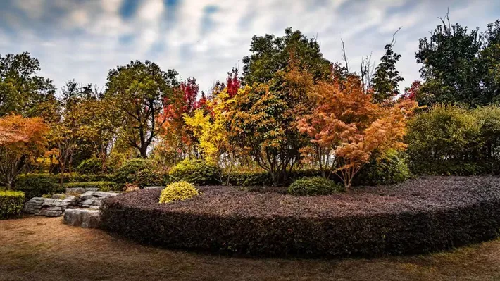 縣區(qū)動態(tài) | 湖漾斑斕色 草木織彩秋