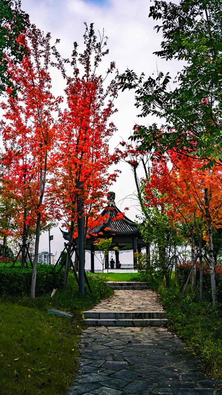 縣區(qū)動態(tài) | 湖漾斑斕色 草木織彩秋