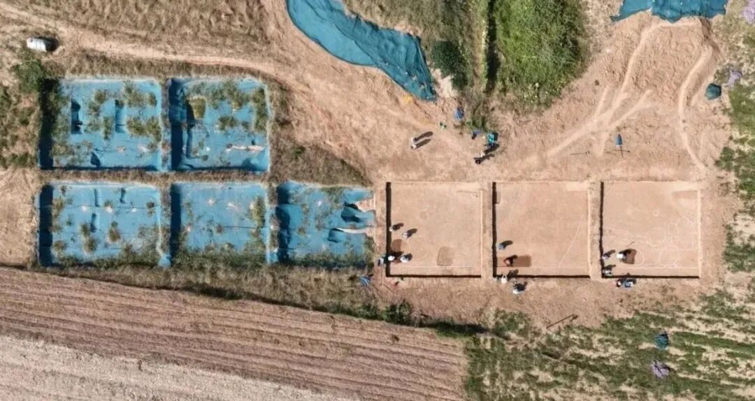 “十四五”駐馬店文旅答卷系列之二 | 賡續天中文脈 讓遺產之花灼灼其華