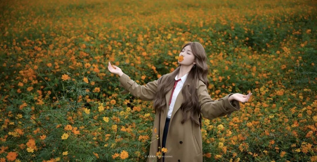 1031 共赴一場秋日菊宴