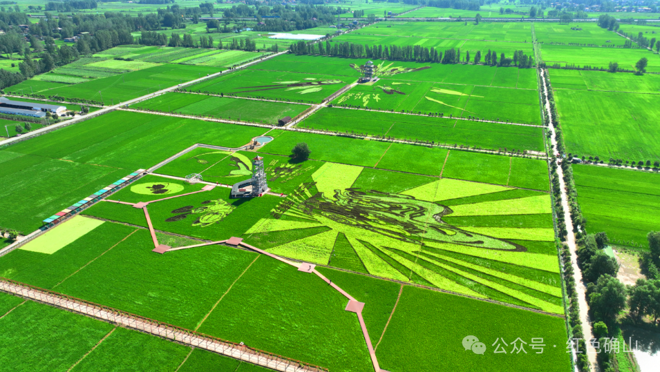 “十四五”駐馬店文旅答卷系列之三 | 業(yè)態(tài)創(chuàng)新升級(jí)，鄉(xiāng)村旅游火爆