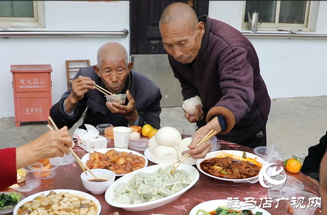 泌陽縣賈樓鄉(xiāng)舉辦2025年重陽節(jié)敬老愛老餃子宴志愿公益活動