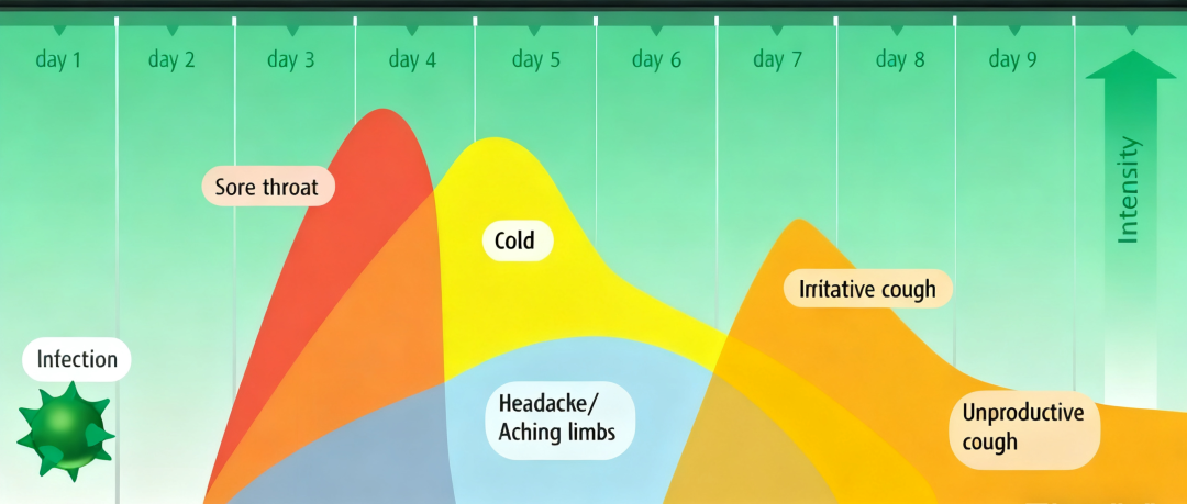 嗓子疼是感冒警報？做對這些事阻斷病毒