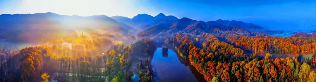 駐馬店秋日漫步指南：抓住秋天的尾巴，在這幾個地方邂逅最美時光