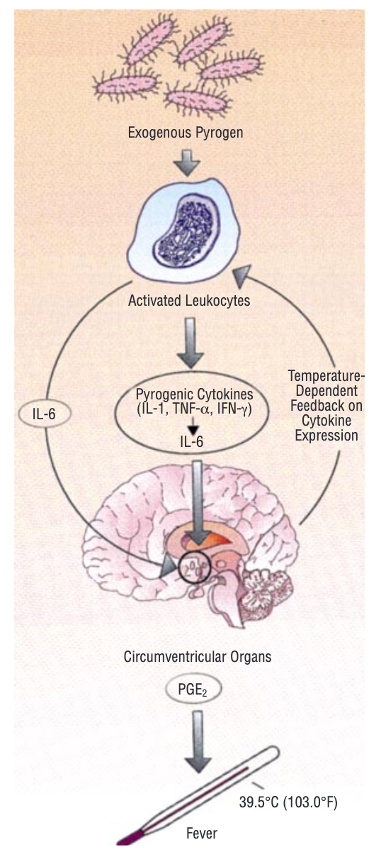 嗓子疼是感冒警報？做對這些事阻斷病毒