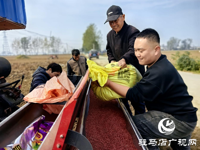 驛城區水屯鎮：搶抓農時推進秋播