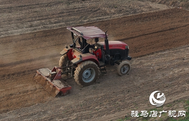 泌陽縣黃山口鄉:“三統籌”護航秋收秋種攻堅戰