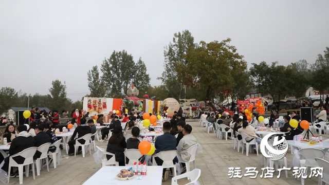 泌陽縣芳香小鎮舉行青年聯誼嘉年華活動