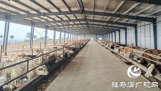 &ldquo;牛&rdquo;產(chǎn)業(yè)蹚出富民路