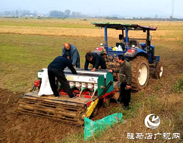 確山縣三里河街道:爭秋時 忙耕作