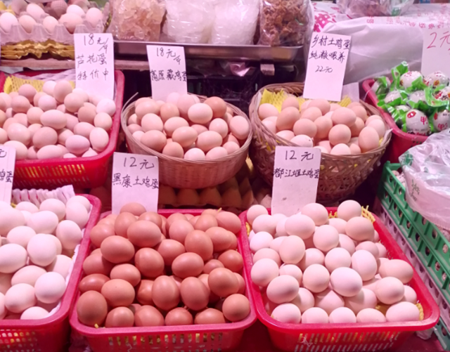 雞蛋價格差異大 普通蛋與特色蛋有何不同？