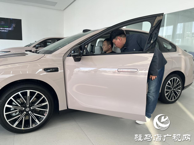 駐馬店：新能源汽車市場持續火熱 政策技術雙輪驅動消費增長