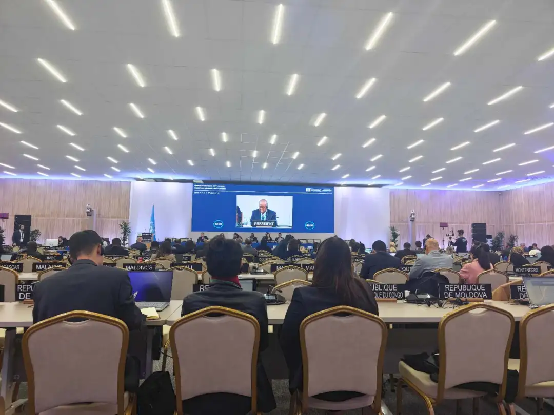 全球首個！每年3月21日，正式設立→