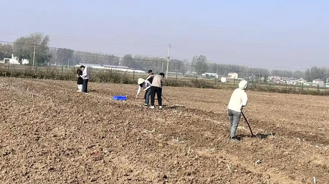 晚播小麥如何保豐收？平輿縣農(nóng)技專家開出四劑“良方”