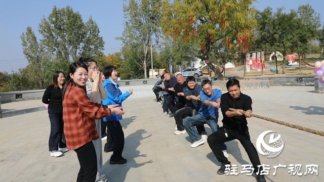 泌陽融媒中心走進王店鎮“芳香小鎮”慶祝第26個記者節