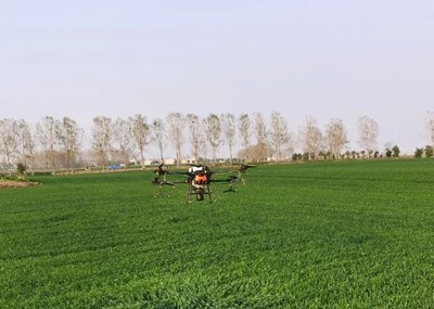 全國(guó)冬小麥播種已過六成 冬油菜播種過九成