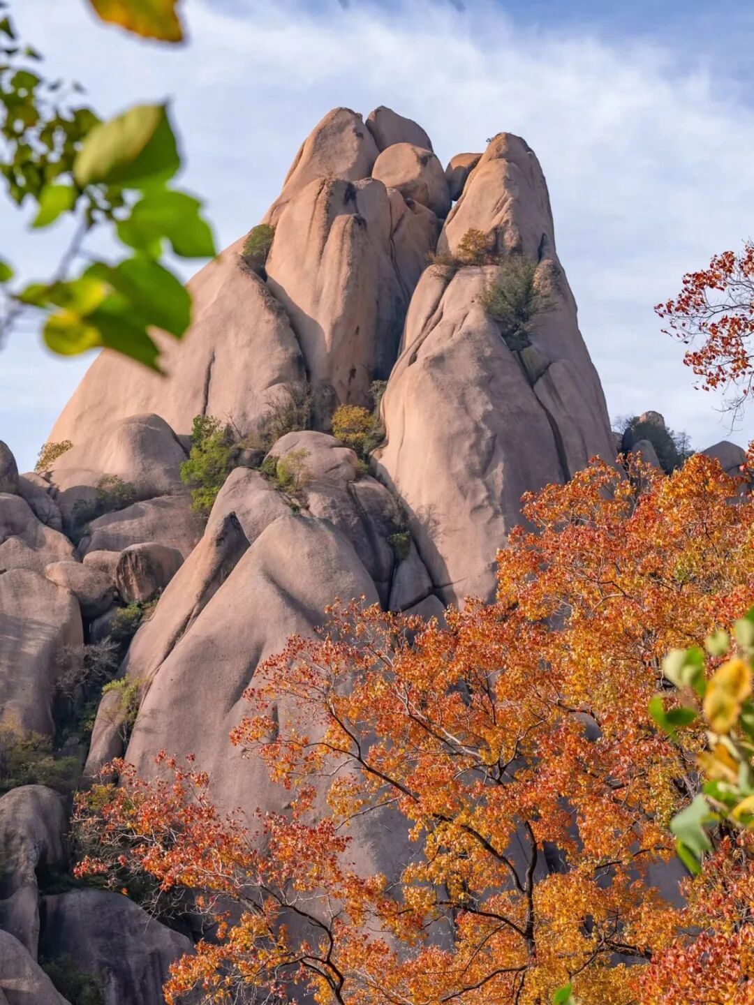 重磅！駐馬店秋日美景強勢上榜微博旅游推薦，這份賞秋指南請收好！