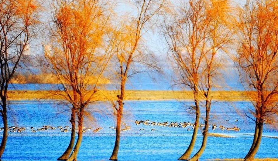 重磅！駐馬店秋日美景強勢上榜微博旅游推薦，這份賞秋指南請收好！