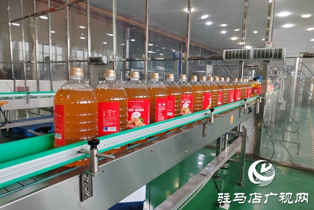 河南正康糧油：生產籌備雙向發力 全力以赴迎盛會