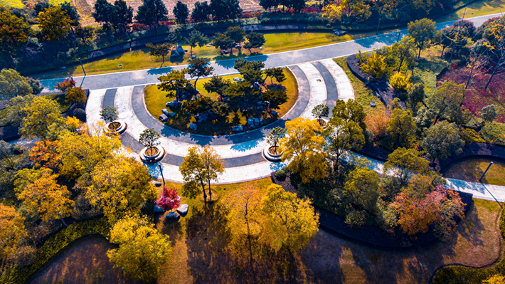 錦繡斑斕醉秋光