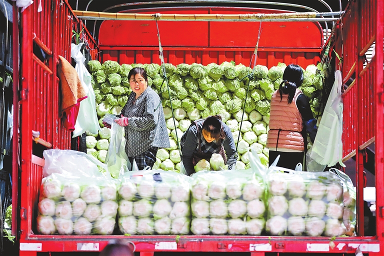 菜價走高 如何穩(wěn)住“菜籃子”