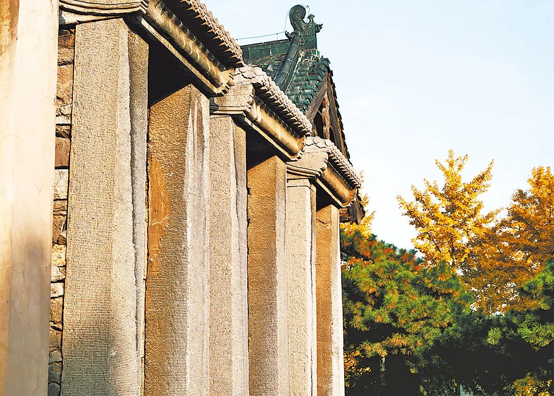 請打開“運河秋韻”畫卷！