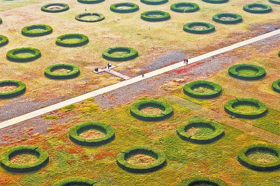 請打開“運河秋韻”畫卷！