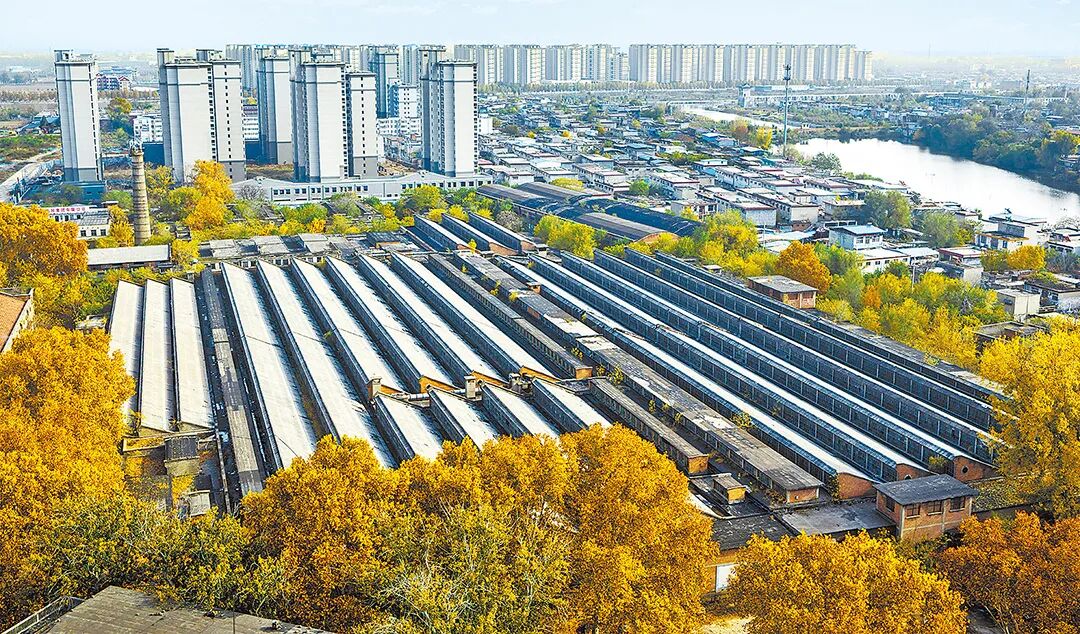 請打開“運河秋韻”畫卷！