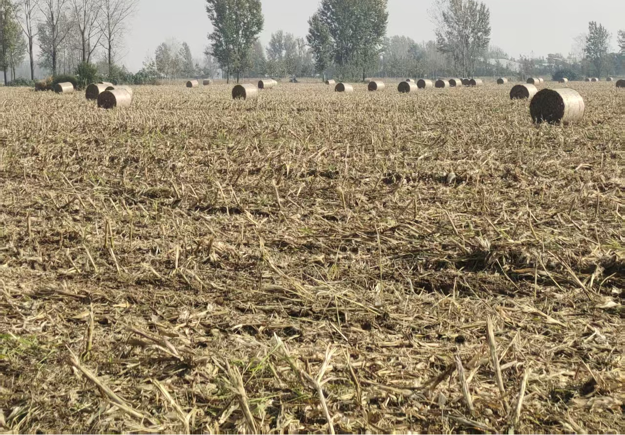 遂平縣玉山鎮：秸稈綜合利用，變廢為寶促增收