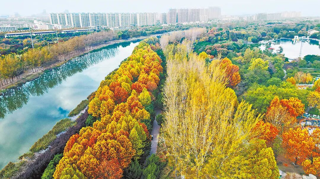 請打開“運河秋韻”畫卷！