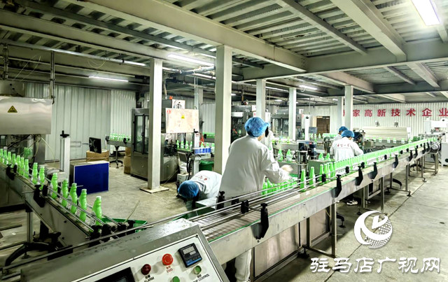 駐馬店市晨鐘生物科技：以現(xiàn)代化治理做強絲瓜產(chǎn)業(yè) 繪就鄉(xiāng)村振興“新樣本”