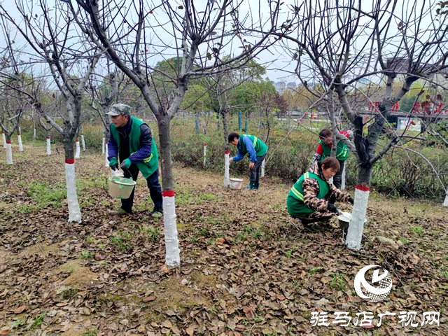 確山：冬日樹木“穿白甲” 防寒護綠保安全