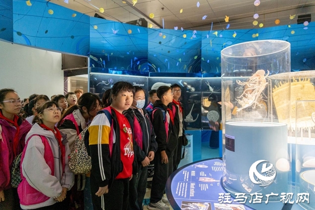 駐馬店市科技館：“定制化”研學受熱捧 成為師生熱門打卡地