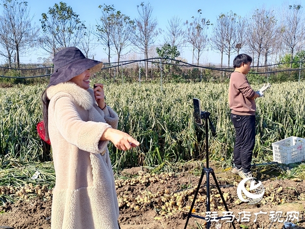 供聚農心 銷連萬家 駐馬店新時尚火龍果超市聯合平輿新時尚超市愛心助農解滯銷難題
