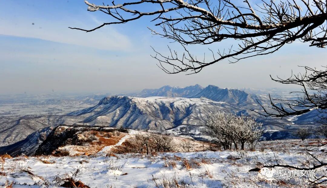 雪落天中!駐馬店初雪刷屏~這些絕美雪景,你都去看過嗎
