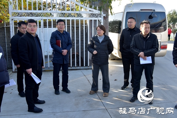 平輿縣委常委、常務副縣長韓靖帶隊開展安全生產檢查