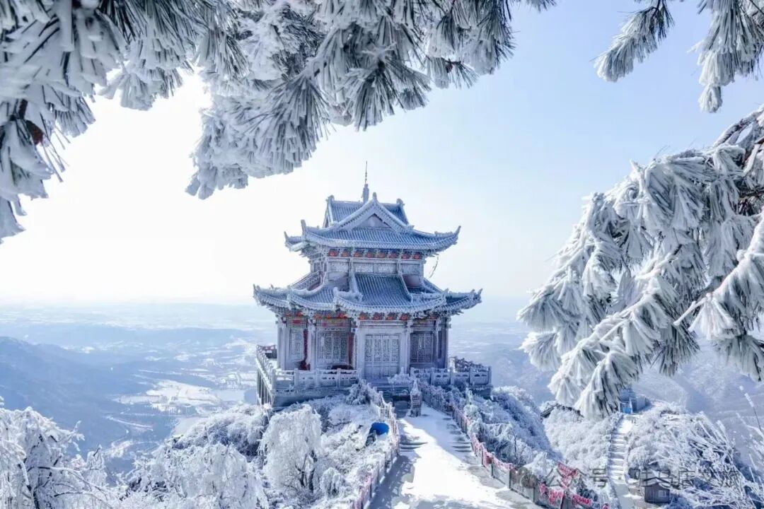 雪落天中!駐馬店初雪刷屏~這些絕美雪景,你都去看過嗎
