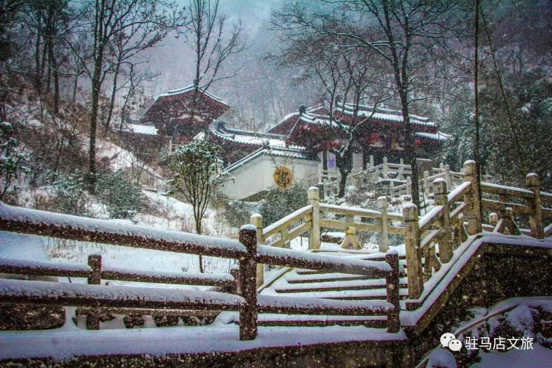 雪落天中!駐馬店初雪刷屏~這些絕美雪景,你都去看過嗎
