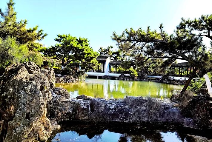 這個公園,初冬景致分外美