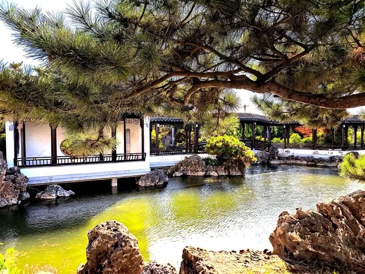 這個公園,初冬景致分外美