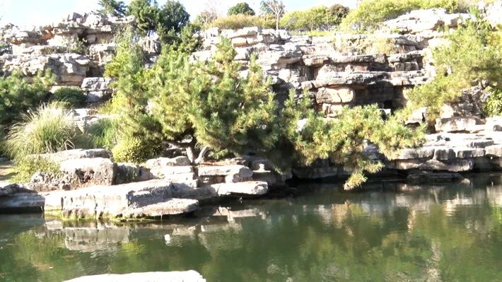 這個公園,初冬景致分外美